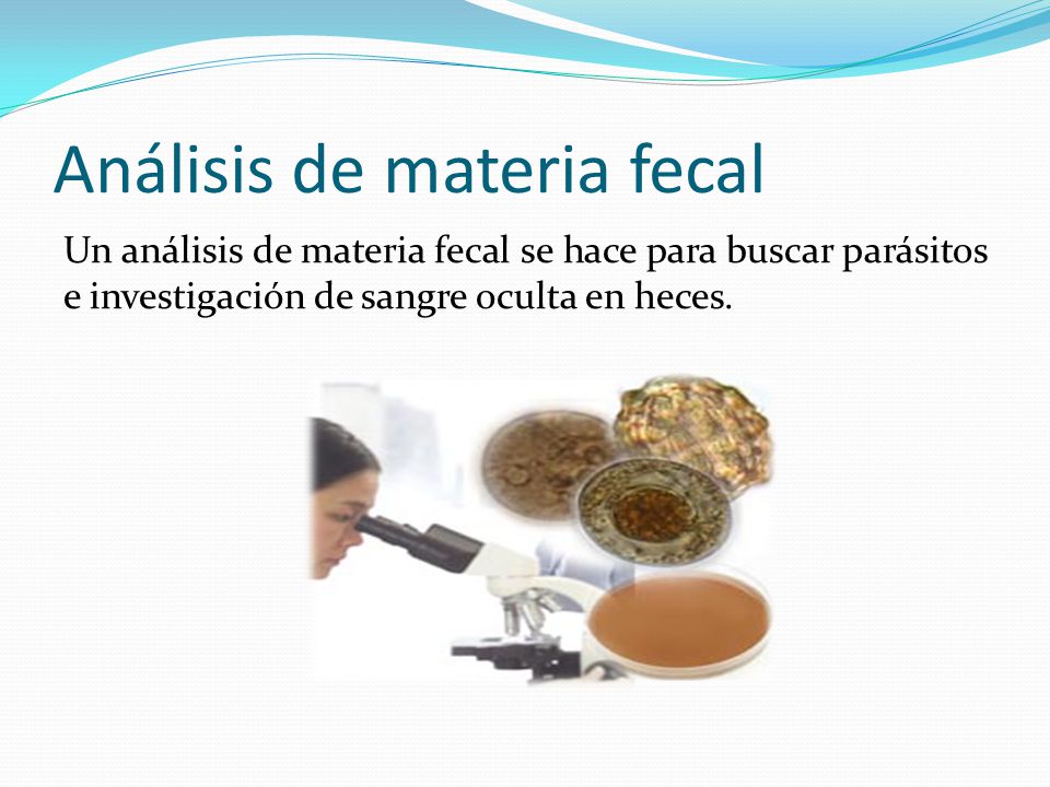Cuál papel en la naturaleza de las setas de los parásitos